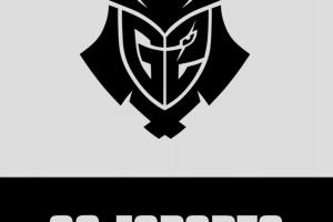 LEC赛区G2成为全球第四支锁定2025LOL全球总决赛名额的队伍